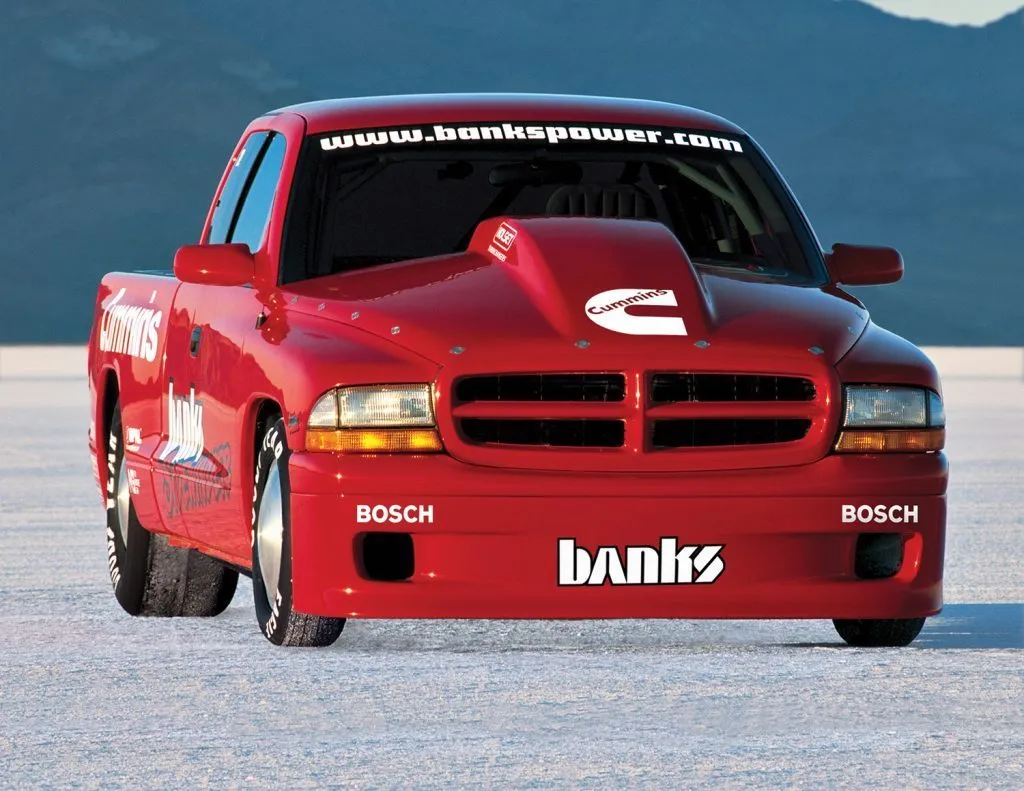 Banks - Sidewinder Dakota