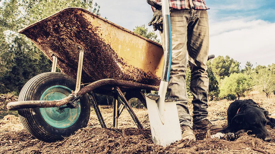Young Farmer on his field shovel and barrow